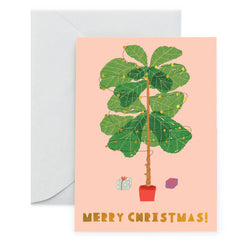 FICUS LYRATA - Holiday Card